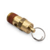 PSI Hi-Temp Rated Safety Valve (1/4" M, NPT)